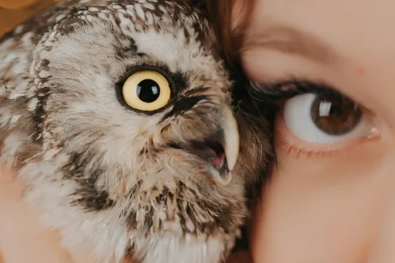 VegasWild Casino Kundeservice